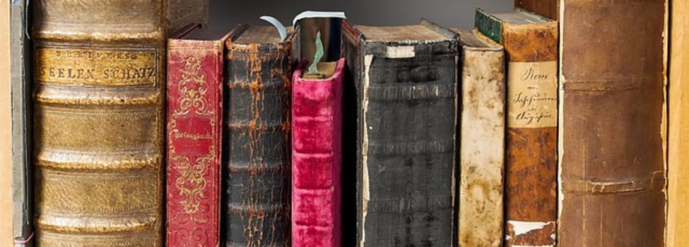 Literatur Foto:pixabay.com
