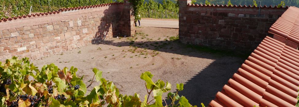 Alte Mistkaut Foto: privat