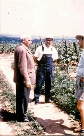 Carl Zuckmayer mit Nackenheimer Winzern am Roten Hang Carl Zuckmayer mit Nackenheimer Winzern am Roten Hang